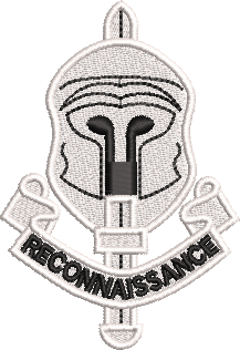 Reconnaissance Regiment