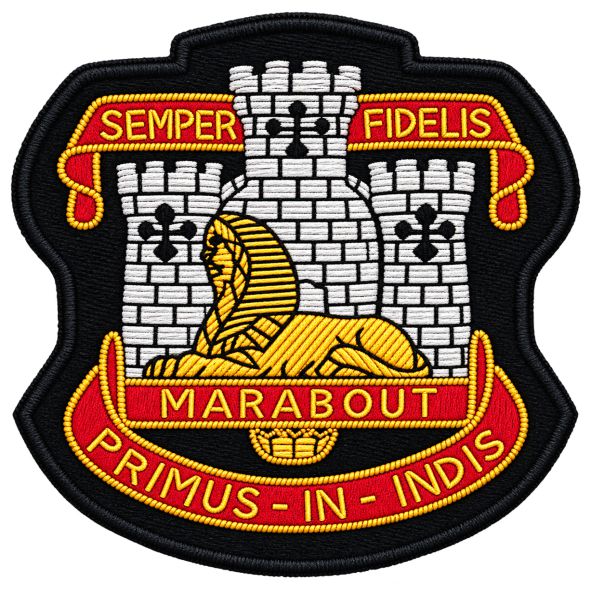 Devon & Dorset Regiment Bullion Blazer Badge UK