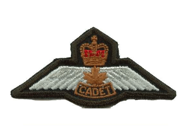 Cadet Wing Bullion Wire Blazer Badge