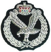 Army Air Corps Blazer Badge