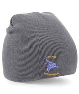 Airborne Brotherhood Beanie Hat