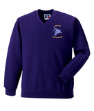 Airborne Brotherhood V Neck Sweatshirt