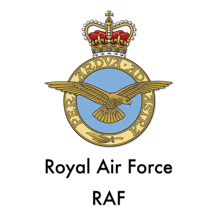 RAF badge