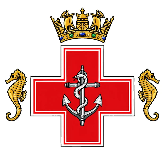 Royal Marines Medical badge